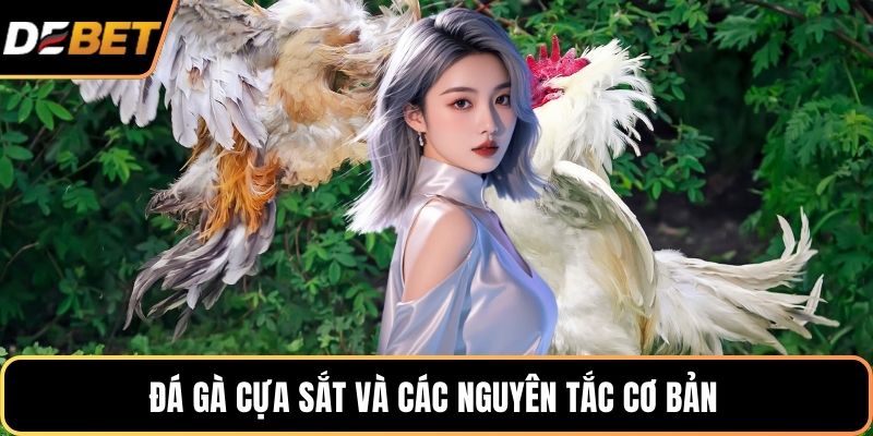 Đá gà cựa sắt và các nguyên tắc cơ bản 