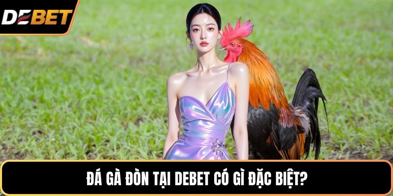 Đá gà đòn tại DEBET có gì đặc biệt?